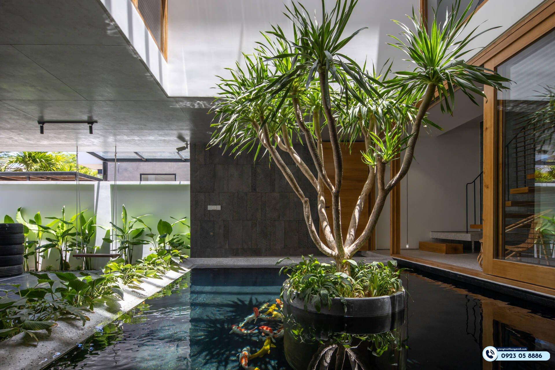 bể cá giếng trời mới